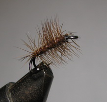 ���� �� �������� ��� �6 (10) Dk. Brown Palmer ��. � 10